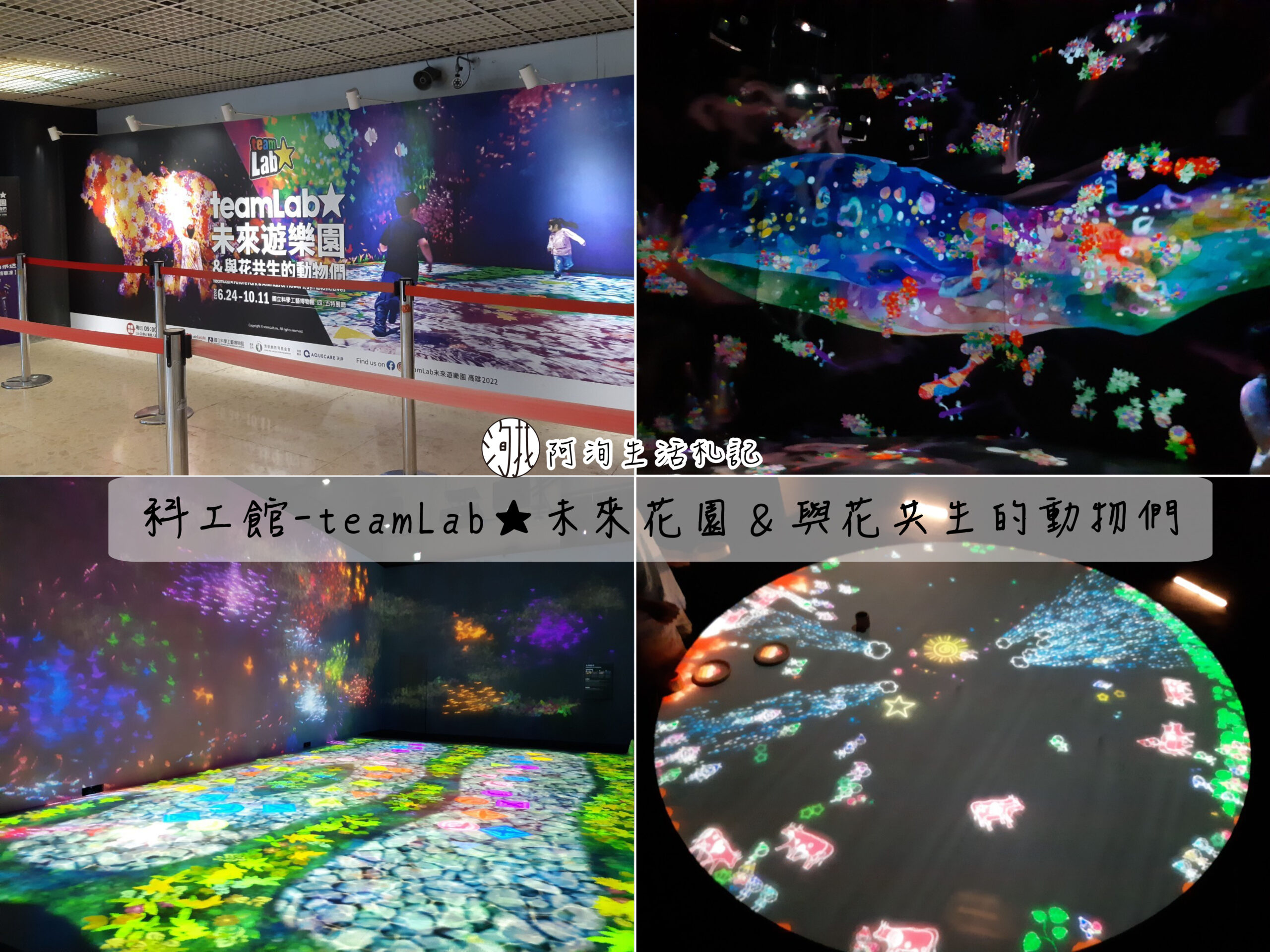 teamLab★未來花園＆與花共生的動物們